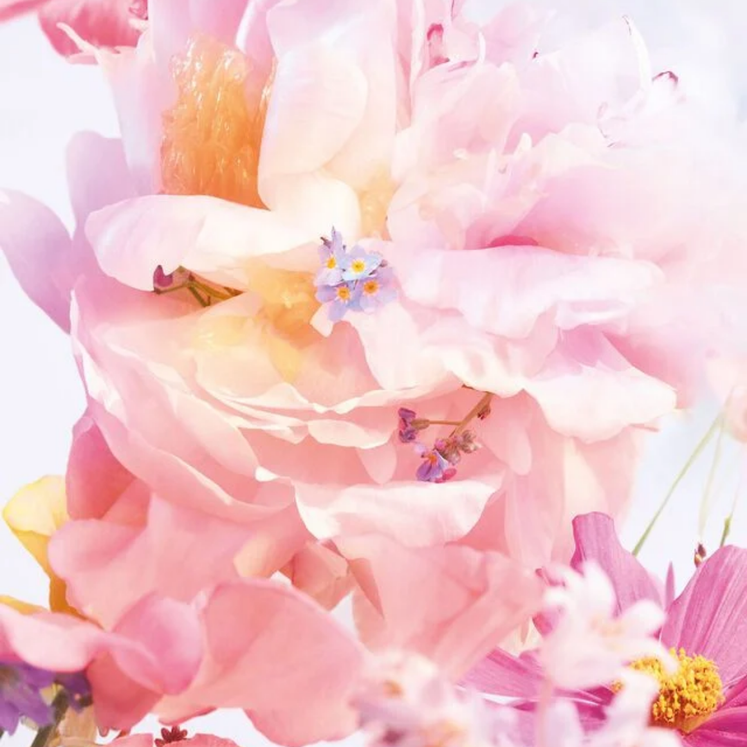 Miss Dior Blooming Bouquet Eau de Toilette