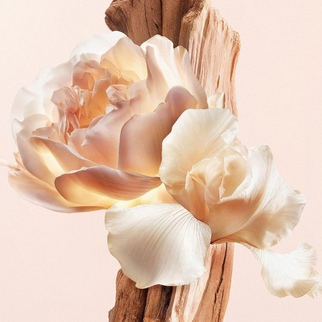 Irresistible Nude Velvet Eau de Parfum
