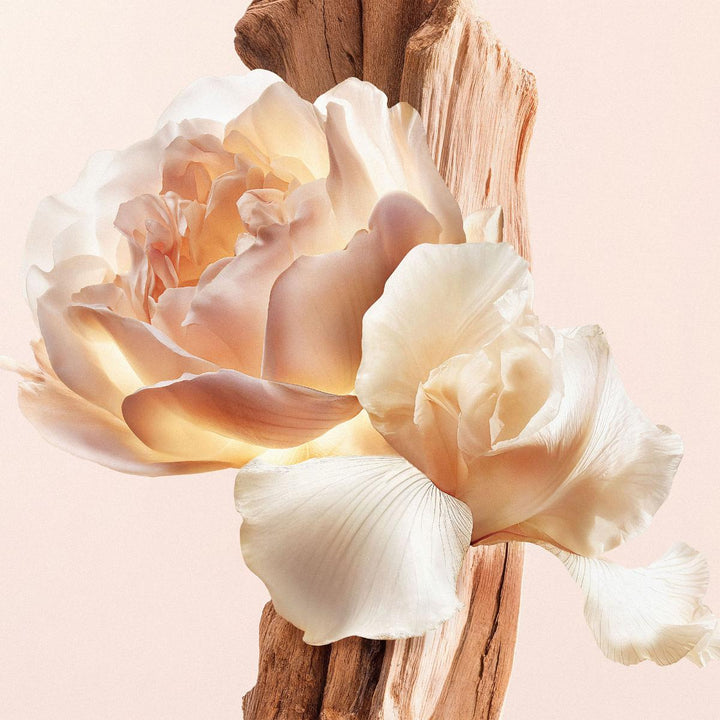 Irresistible Nude Velvet Eau de Parfum
