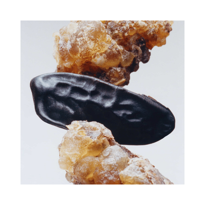 Myrrh & Tonka Cologne Intense