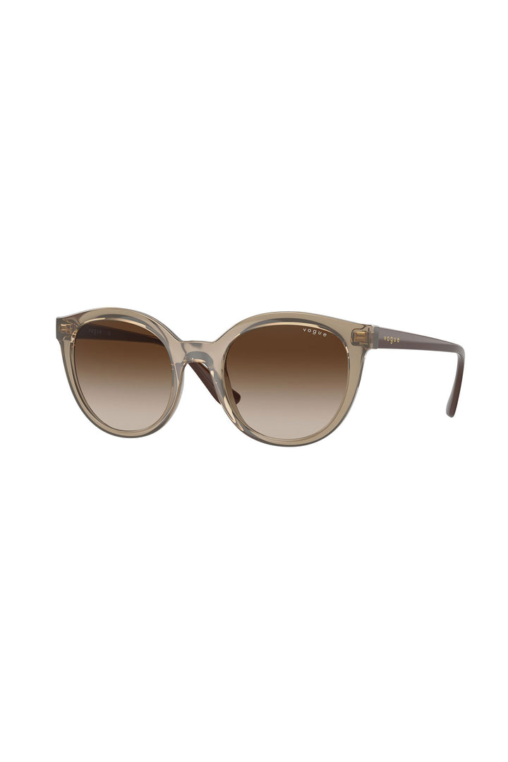 Brown Gradient Sunglasses - Brown