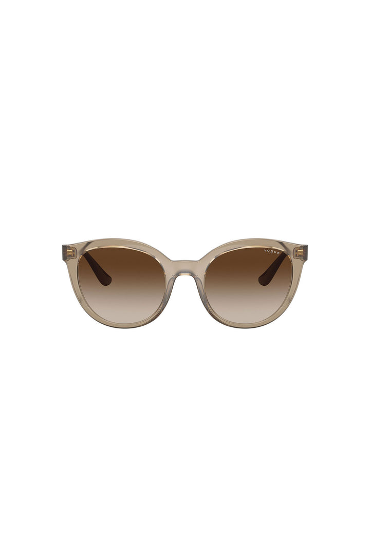 Brown Gradient Sunglasses - Brown
