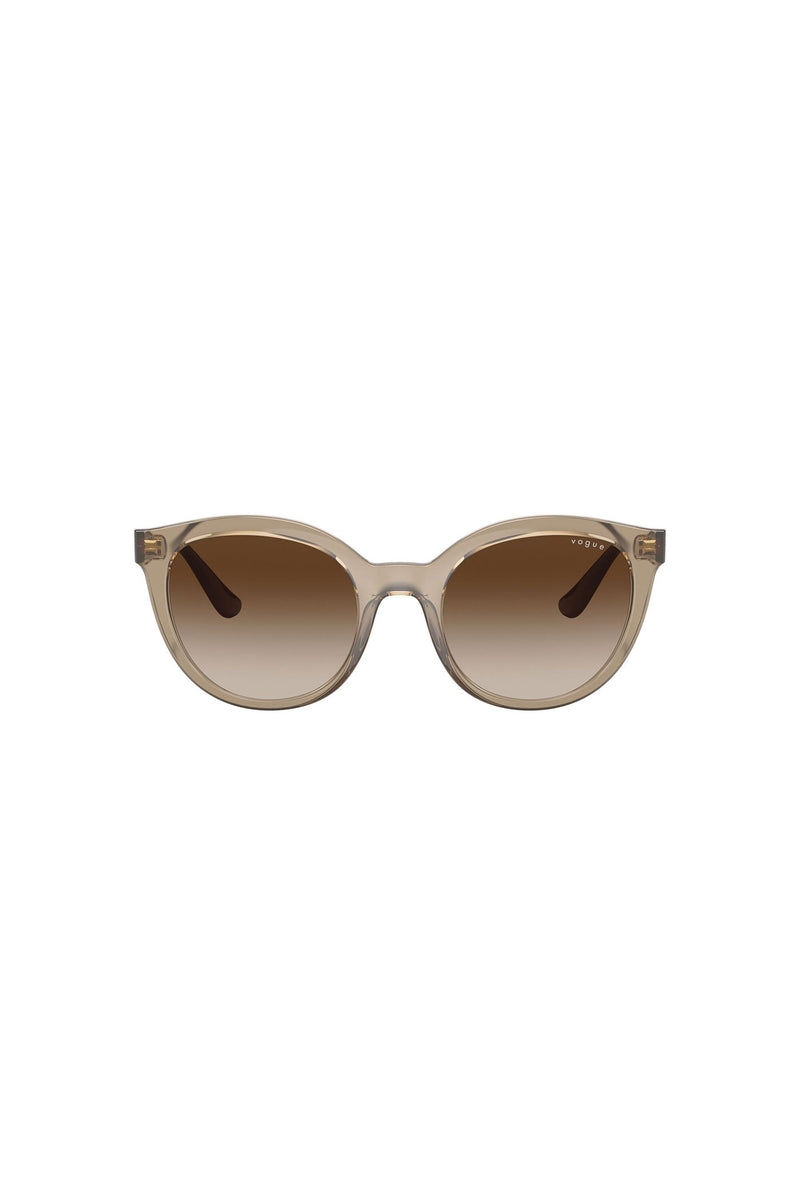 Brown Gradient Sunglasses - Brown