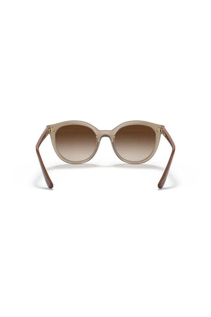 Brown Gradient Sunglasses - Brown