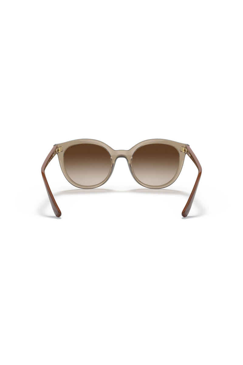 Brown Gradient Sunglasses - Brown
