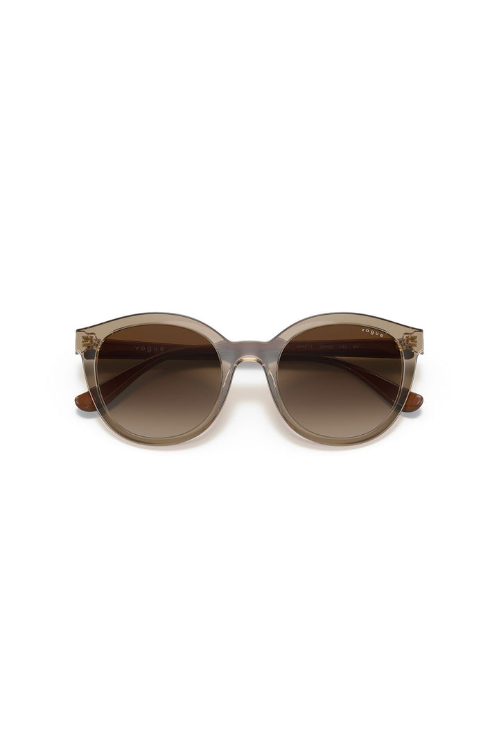 Brown Gradient Sunglasses - Brown