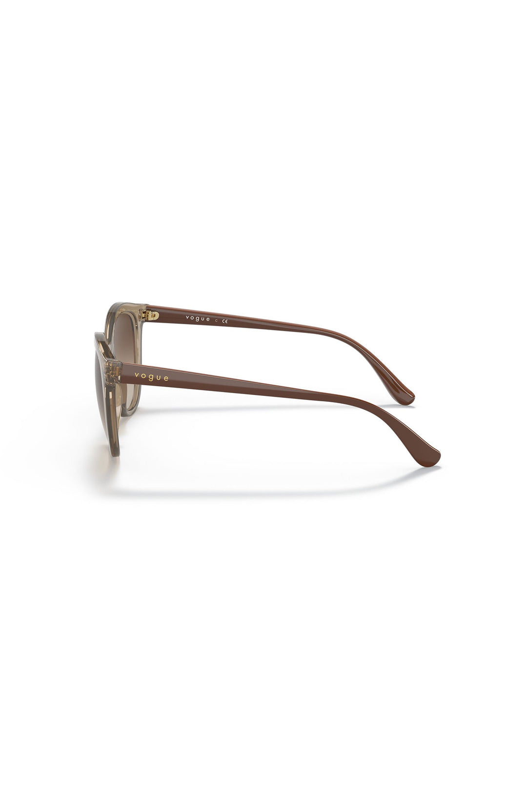Brown Gradient Sunglasses - Brown