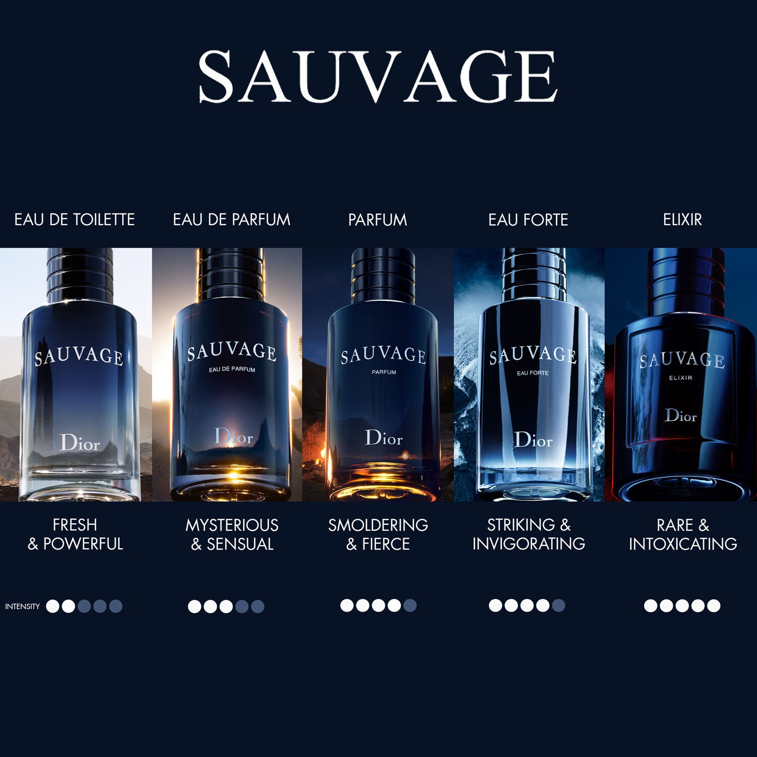 Mens Sauvage Eau de Parfum – Edgars