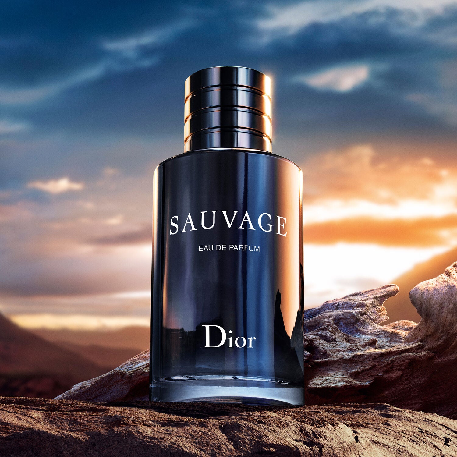 Dior 香水 Sauvage Eau de Parfum Mens Sauvage Eau de Parfum – Edgars