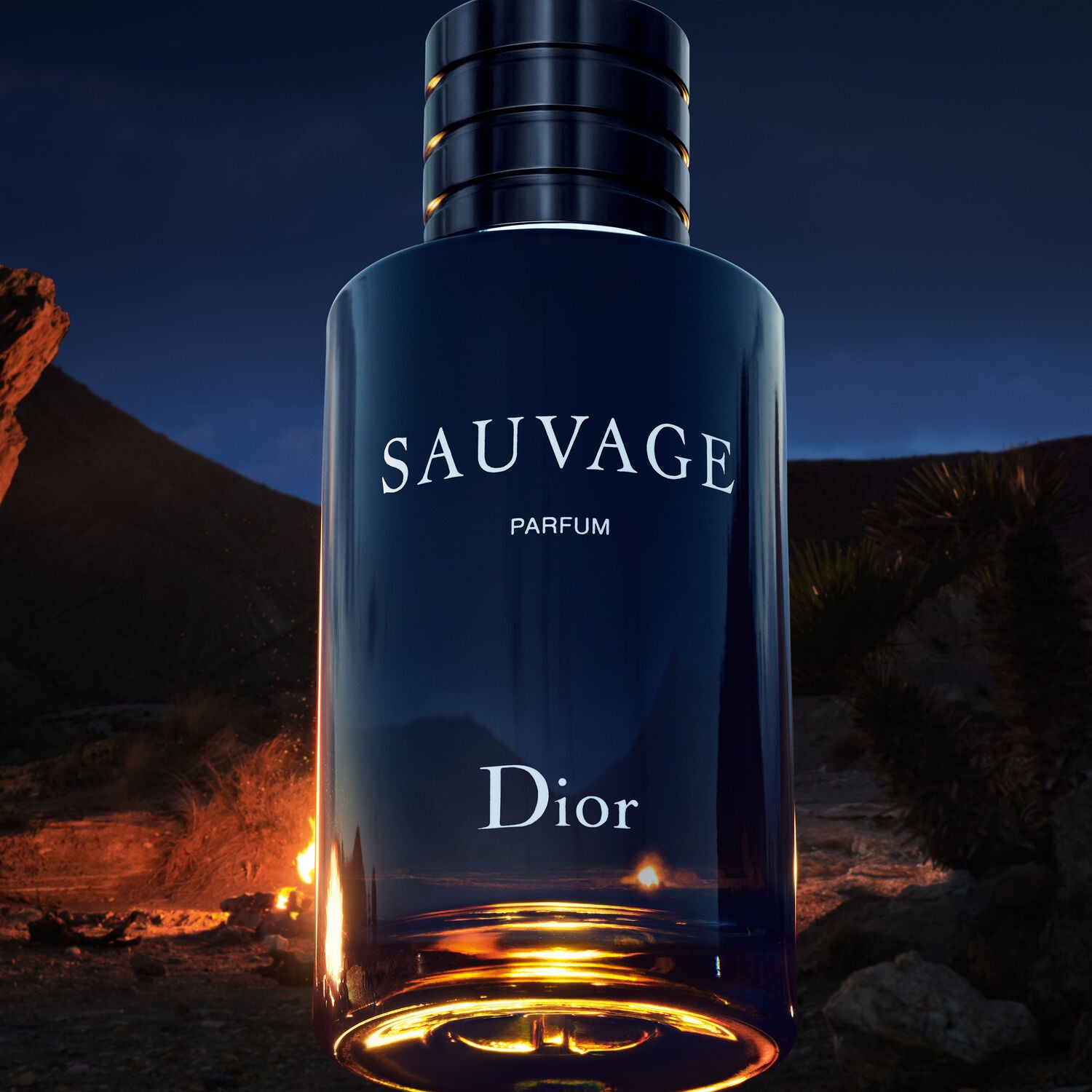 Mens Sauvage Parfum – Edgars