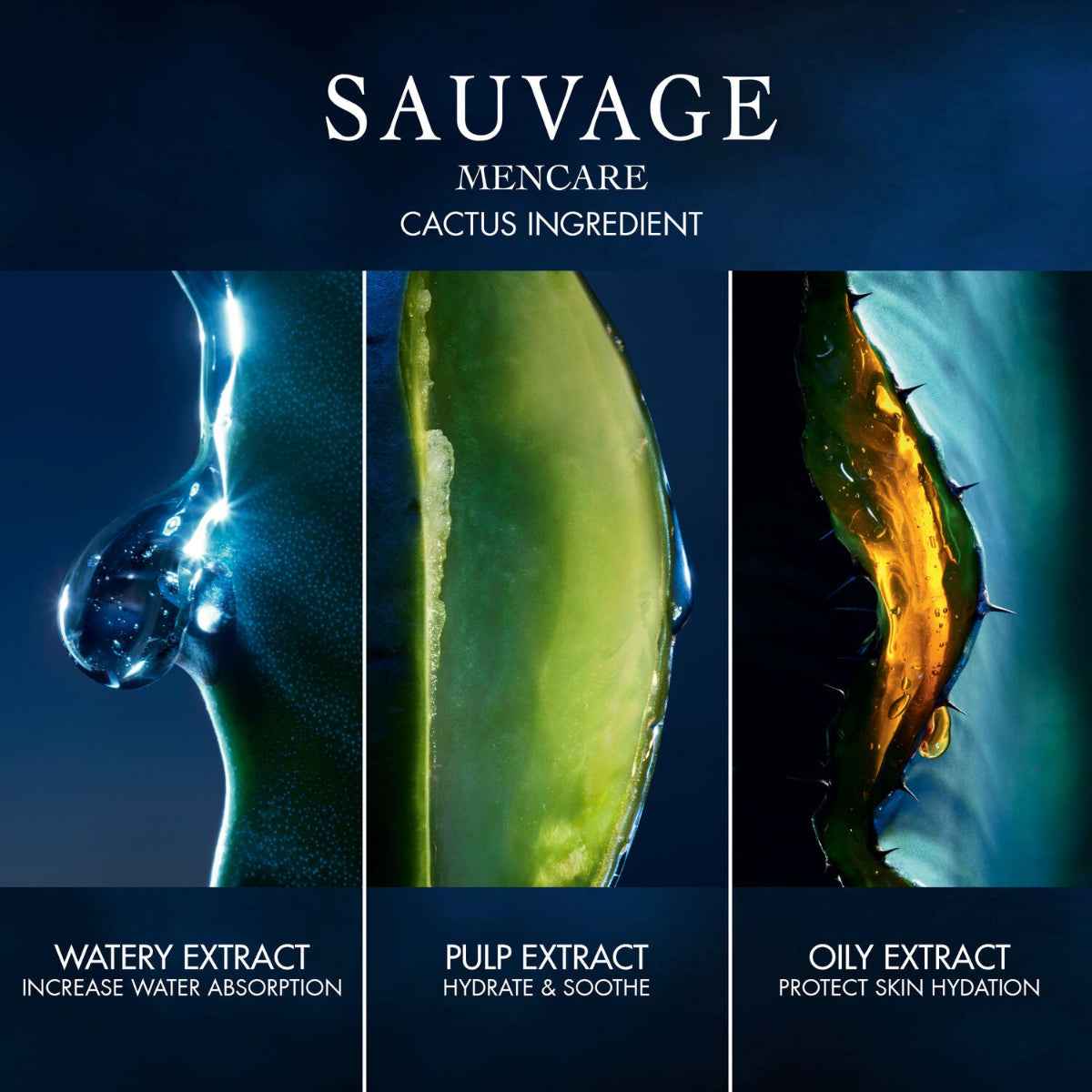Mens Sauvage Skincare Ritual Kit – Edgars