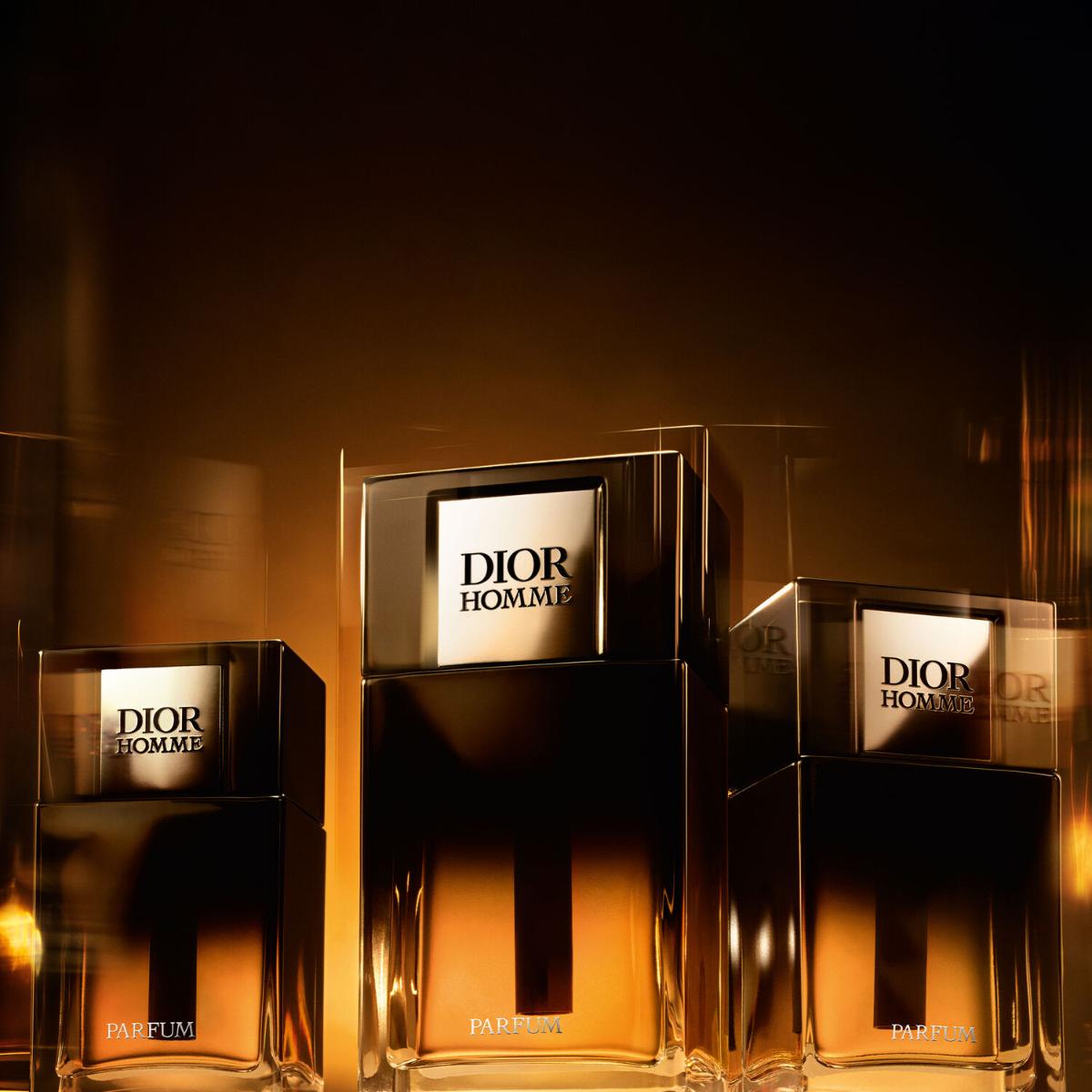 Mens Dior Homme Parfum – Edgars