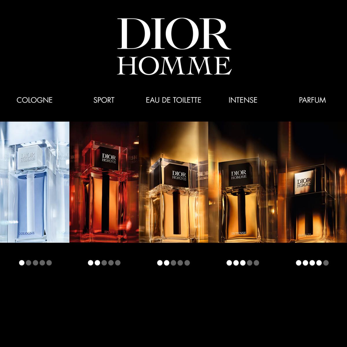 Mens Dior Homme Parfum – Edgars