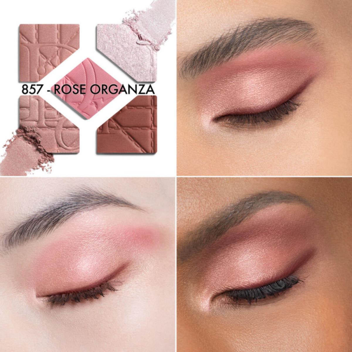 Dior DiorShow 5 Couleurs 857 ローズオーガンザ Diorshow 5 Couleurs – Limited Edition – Edgars