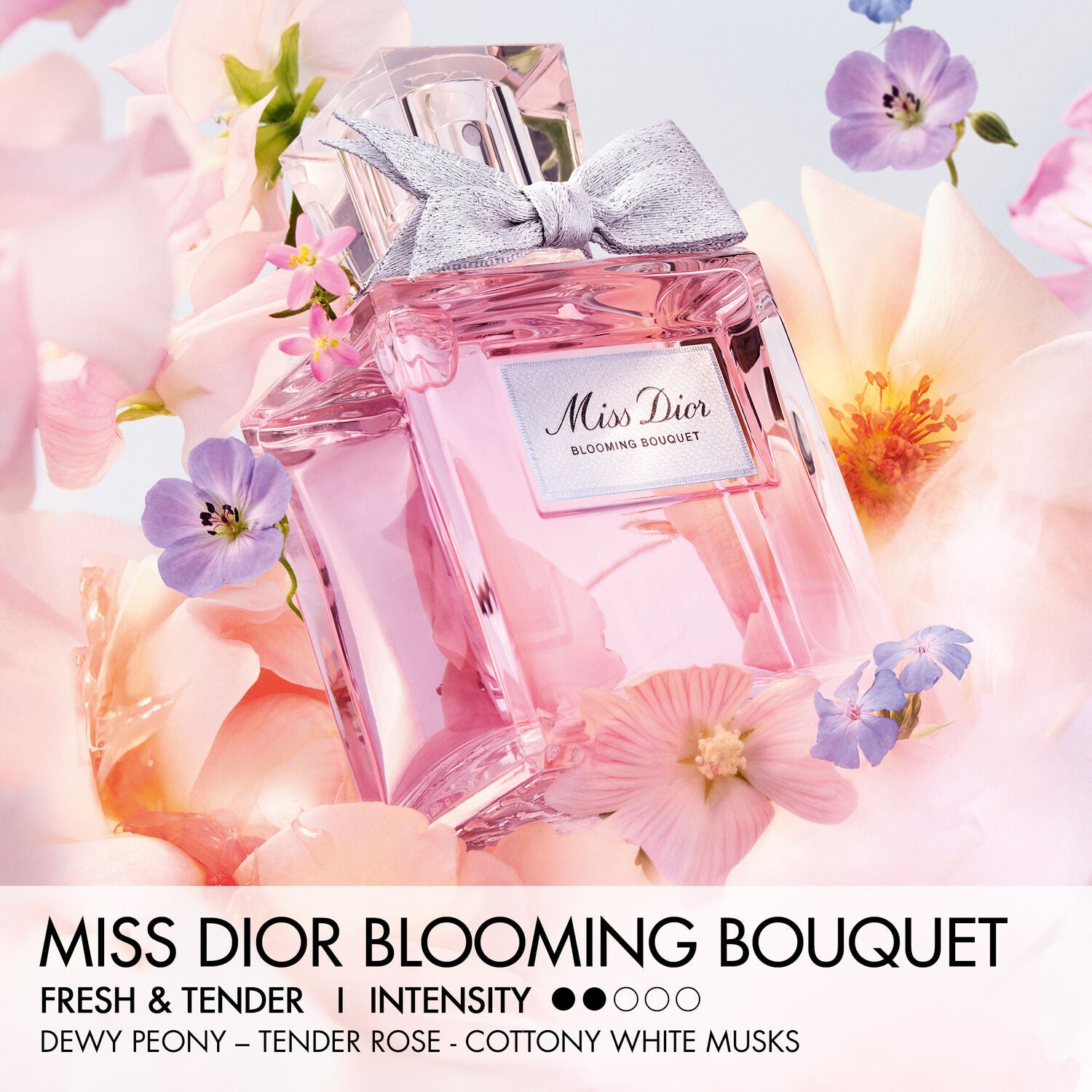 Ladies Miss Dior Blooming Bouquet Limited-Edition Set – Edgars