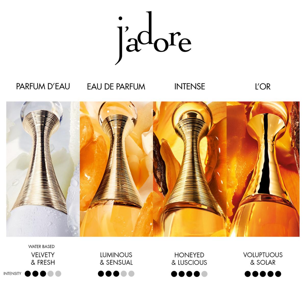 Ladies J'adore Intense Parfum – Edgars