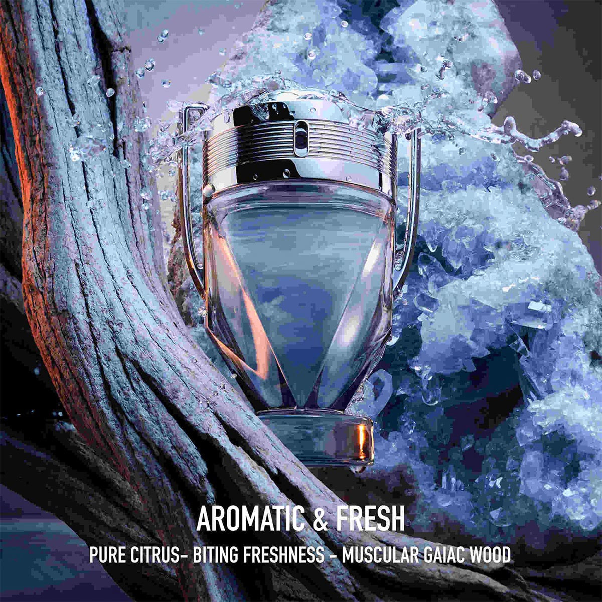 Mens Invictus Eau de Toilette – Edgars