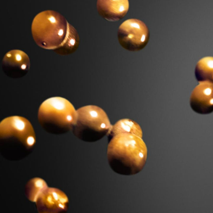 Invictus Victory Absolu Parfum Intense