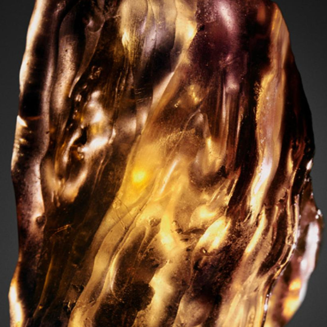 Invictus Victory Absolu Parfum Intense