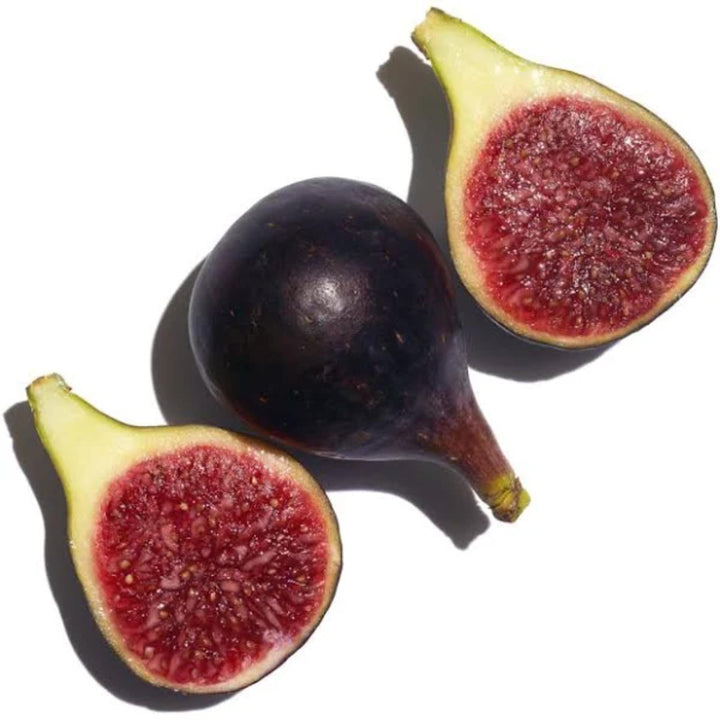 Self Tanning Instant Gel