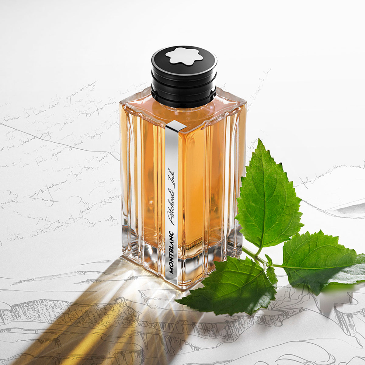 モンブラン コレクション パチュリ インク EDP 125ml Ladies Collection Patchouli Ink Eau De Parfum – Edgars