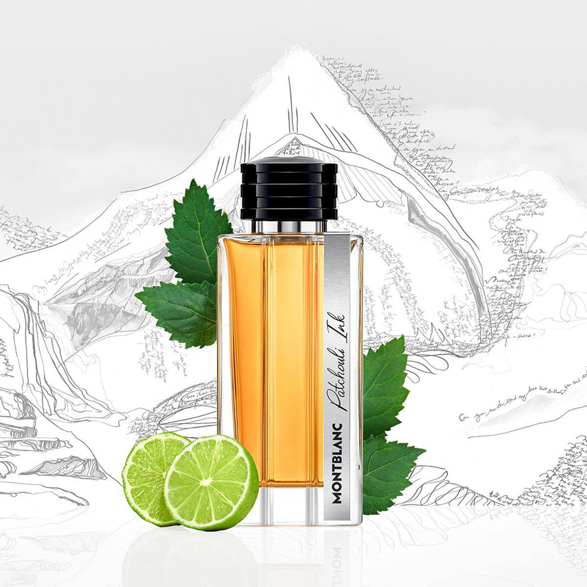 Ladies Collection Patchouli Ink Eau De Parfum – Edgars