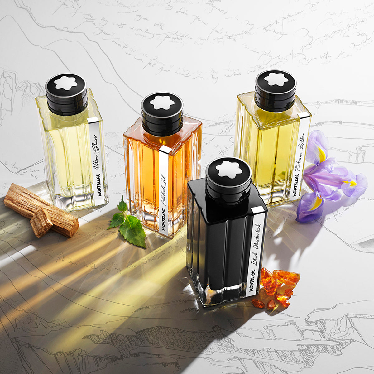 Ladies Collection Patchouli Ink Eau De Parfum – Edgars