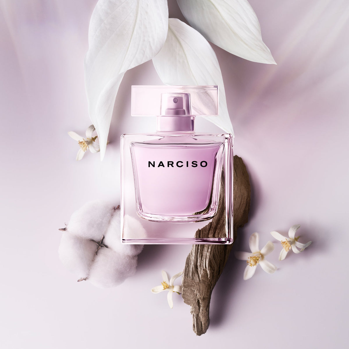 Ladies Radiante Eau de Parfum – Edgars