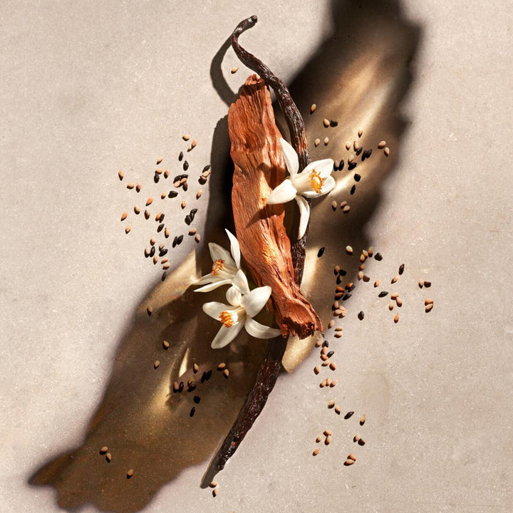 Zadig Eau de Parfum Gift Set