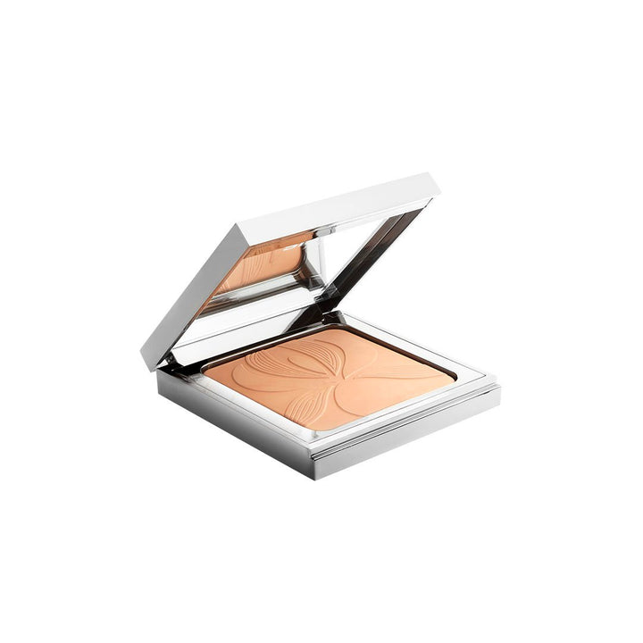 Blur Expert Perfecting Smoothing Powder 11g