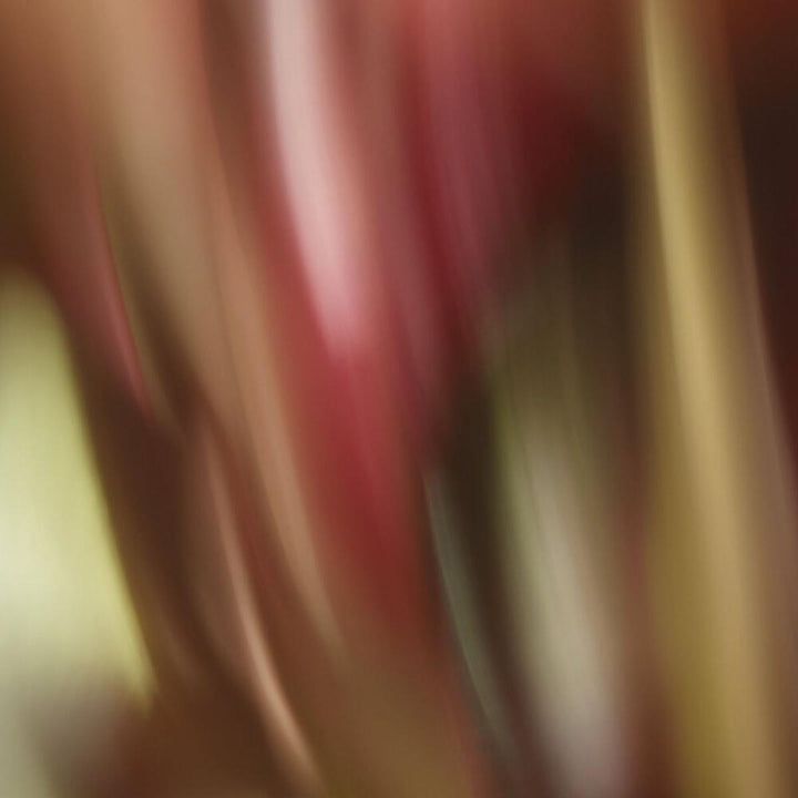 L'Eau Rêvée D'Aria Eau de Toilette