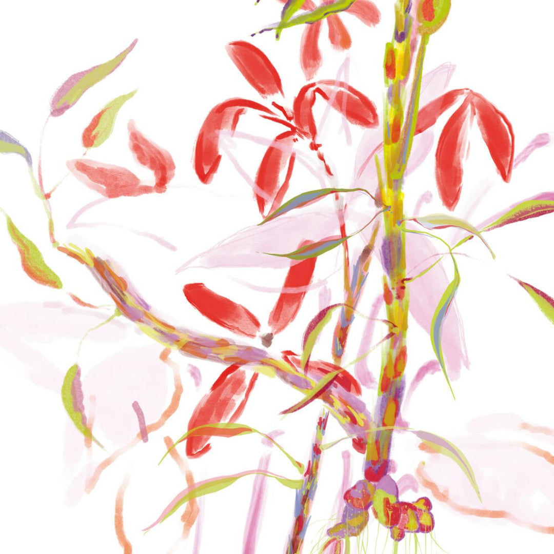 L'Eau Rêvée D'Aria Eau de Toilette