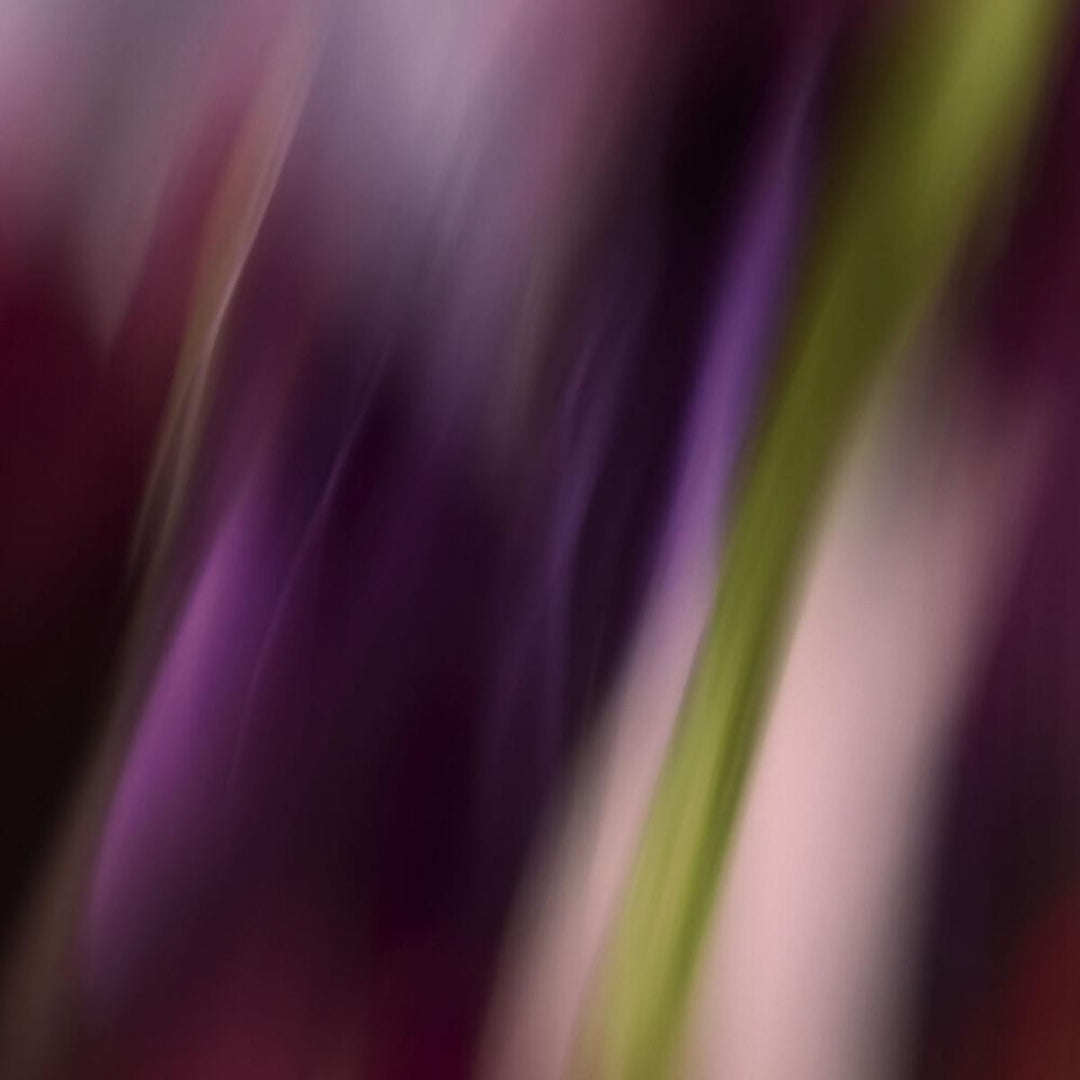 L'Eau Rêvée D'Eliya Eau de Toilette