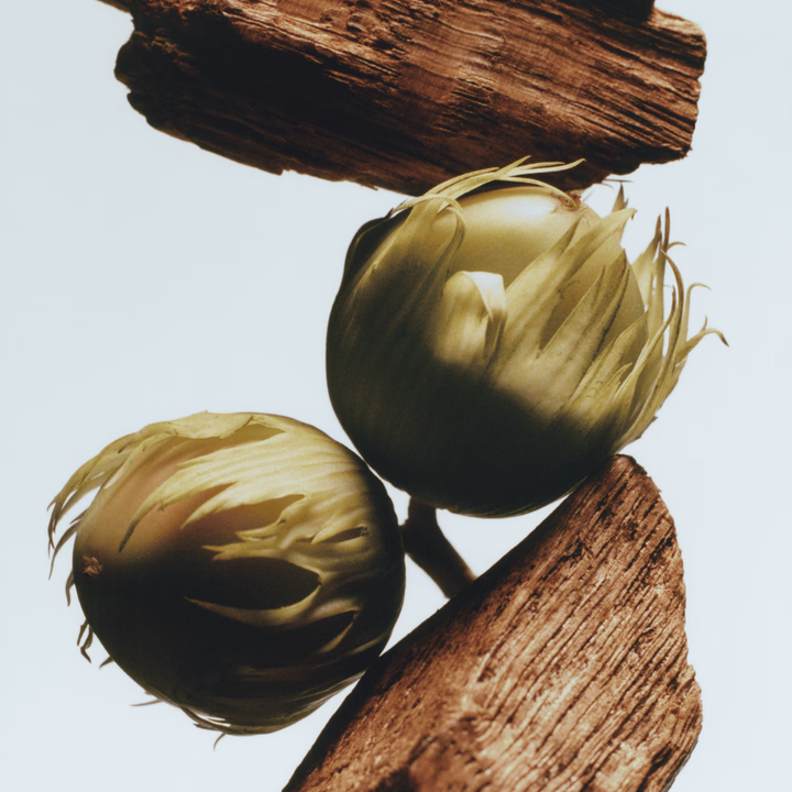 English Oak & Hazelnut Body & Hand Wash