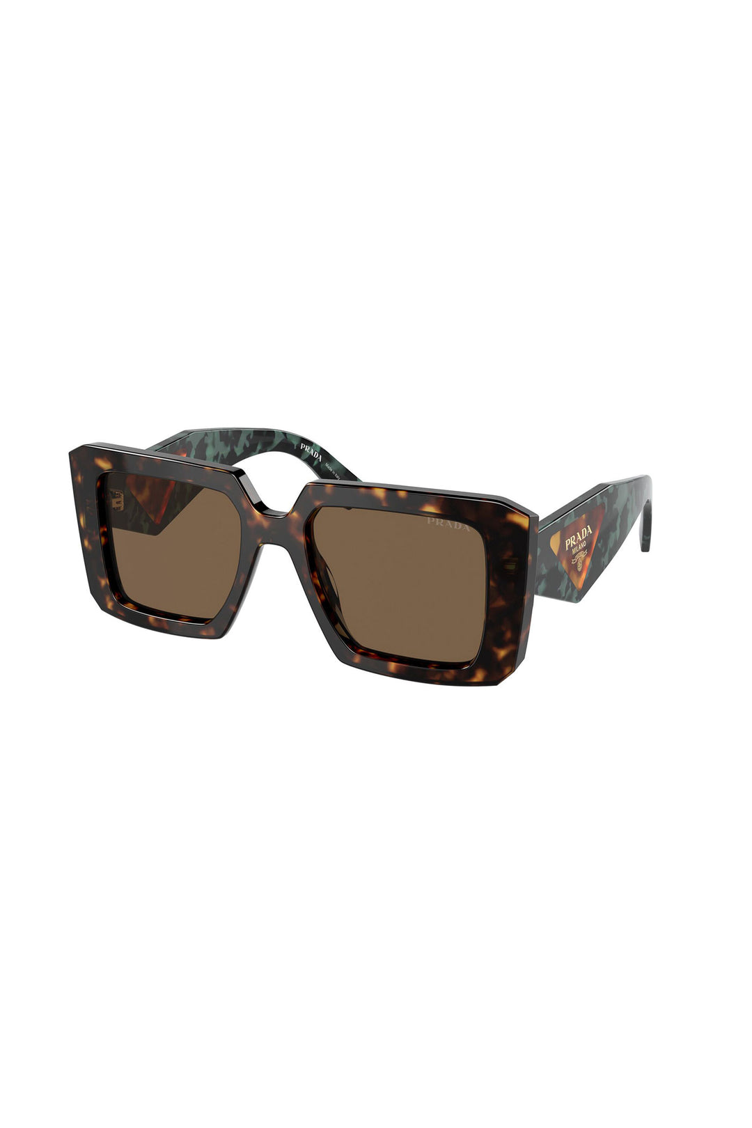 Large Framed Square Sunglasses - Tortoise Shell