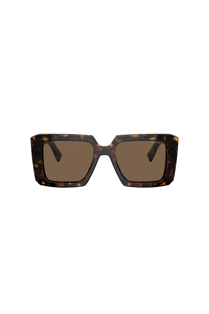 Large Framed Square Sunglasses - Tortoise Shell