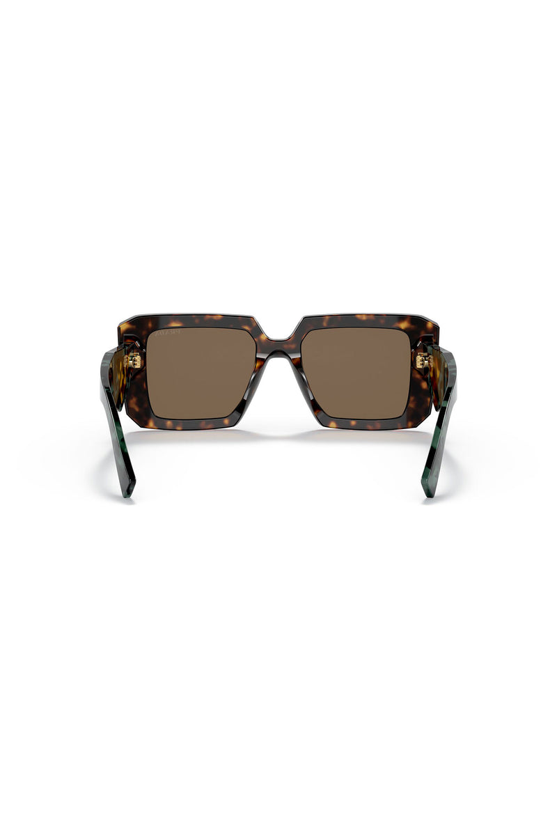 Large Framed Square Sunglasses - Tortoise Shell