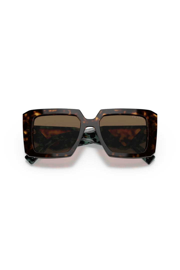 Large Framed Square Sunglasses - Tortoise Shell