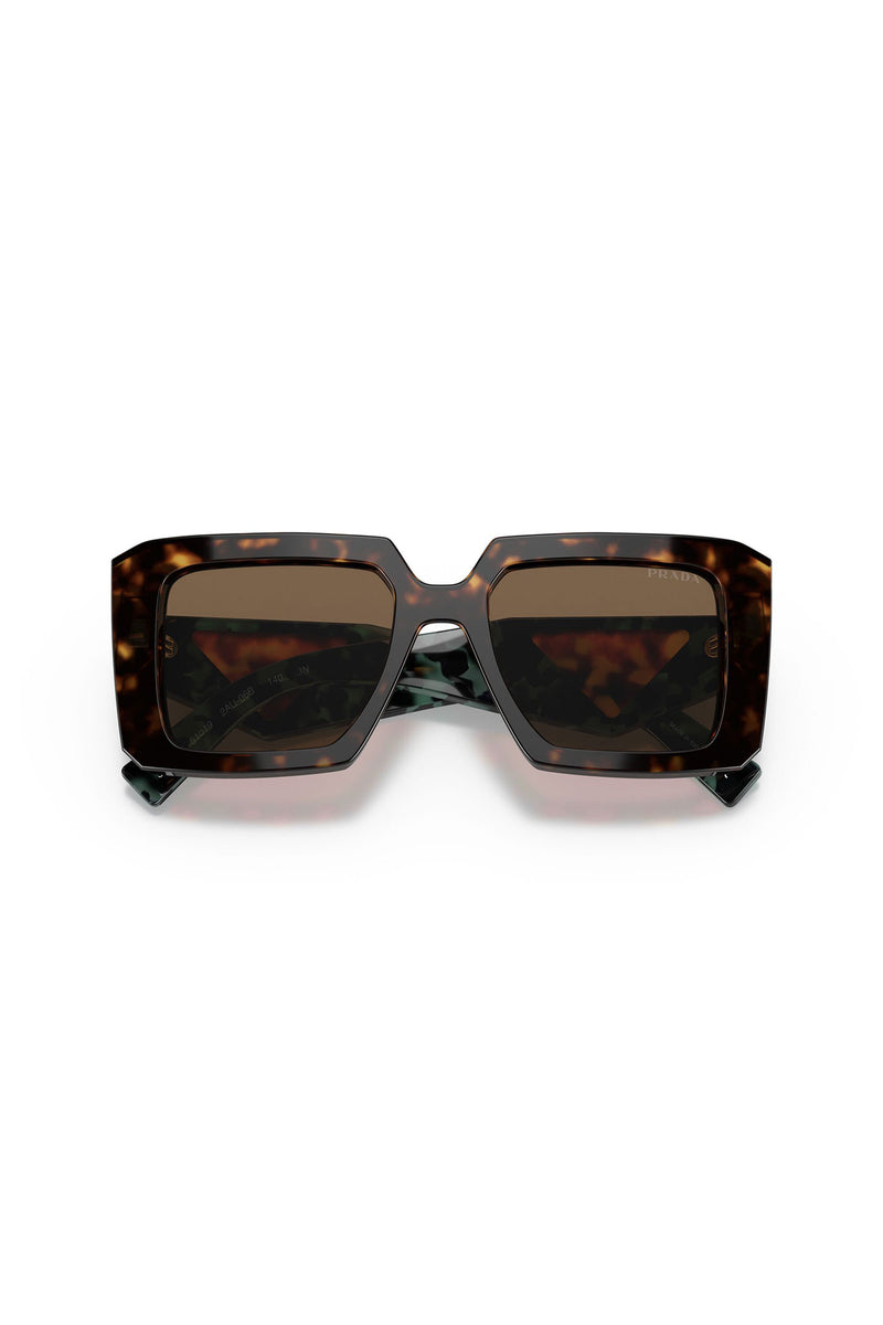Large Framed Square Sunglasses - Tortoise Shell