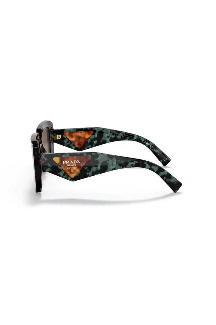 Large Framed Square Sunglasses - Tortoise Shell