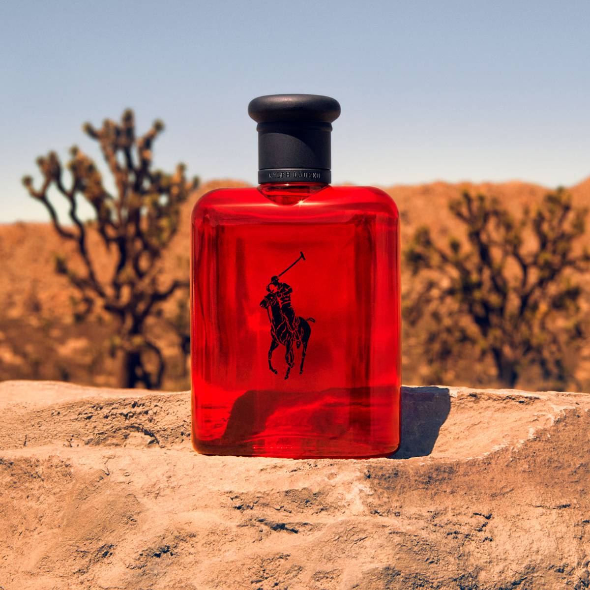 Mens Polo Red Eau de Toilette Spray – Edgars