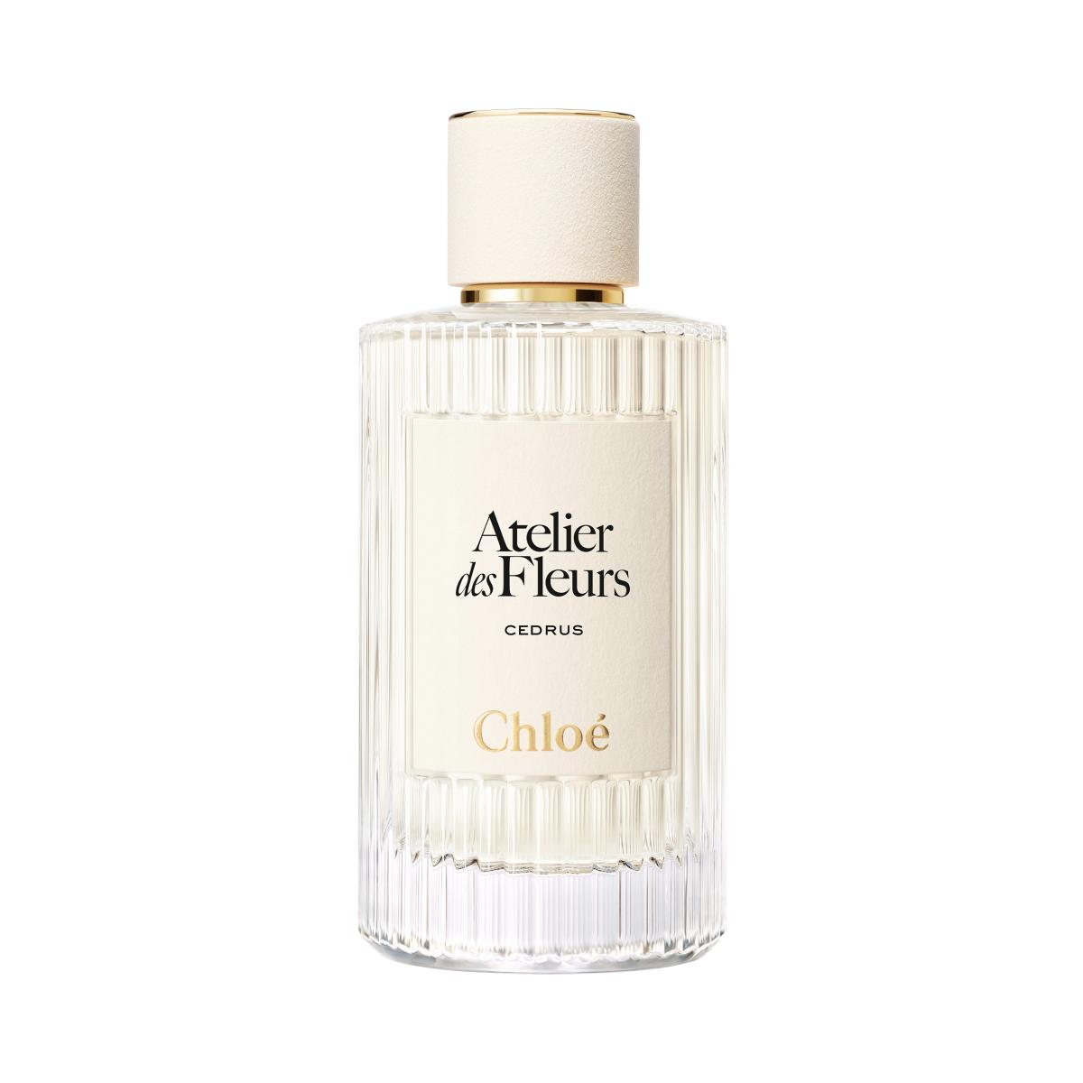 Chloé Atelier des Fleurs Écorce 香水 Ladies Atelier Des Fleurs Cedrus Sambac Eau de Parfum – Edgars