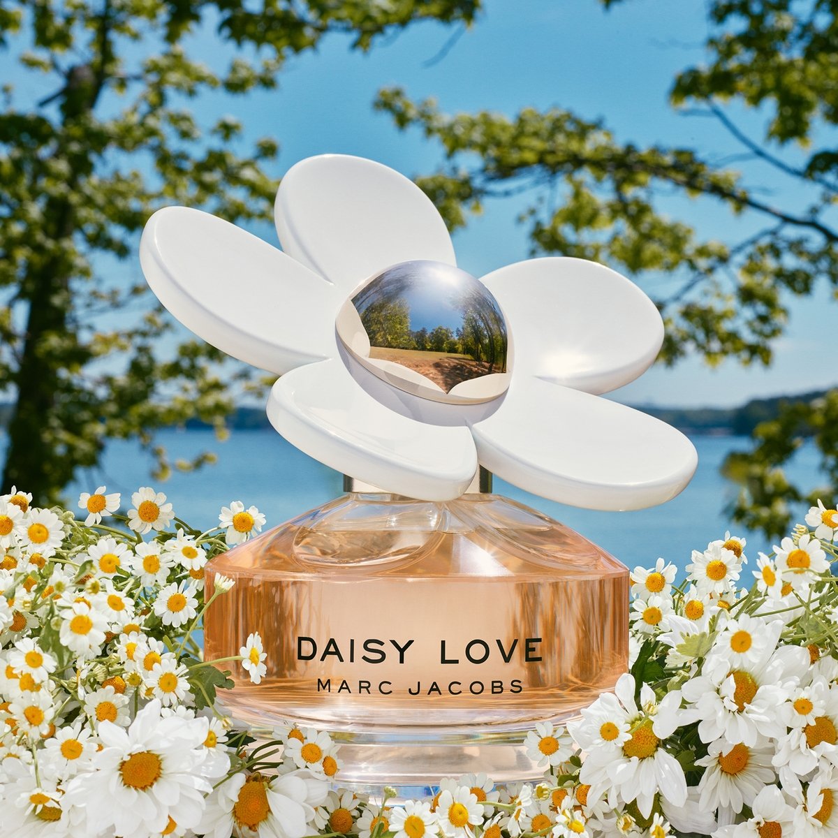 Ladies Daisy Love Eau de Toilette for Women – Edgars