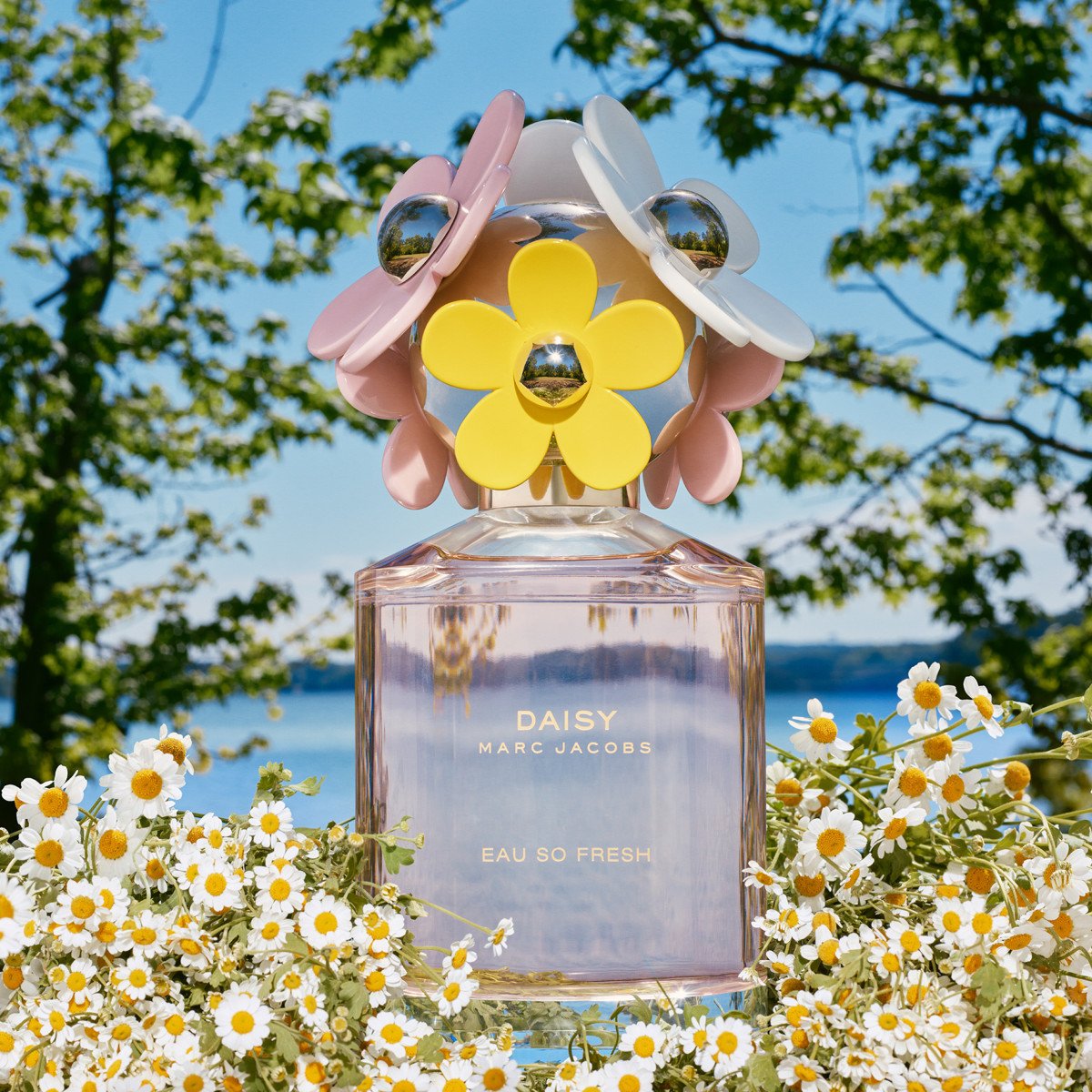 Ladies Daisy Eau So Fresh Eau de Toilette – Edgars