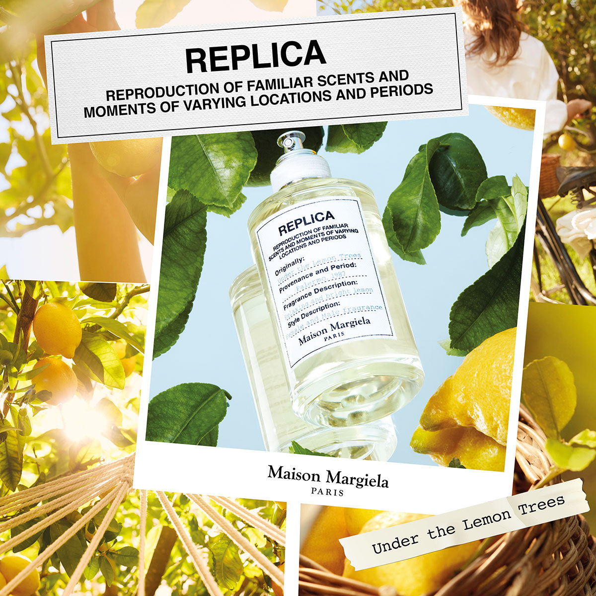 Ladies Replica Under The Lemon Trees Eau de Toilette – Edgars