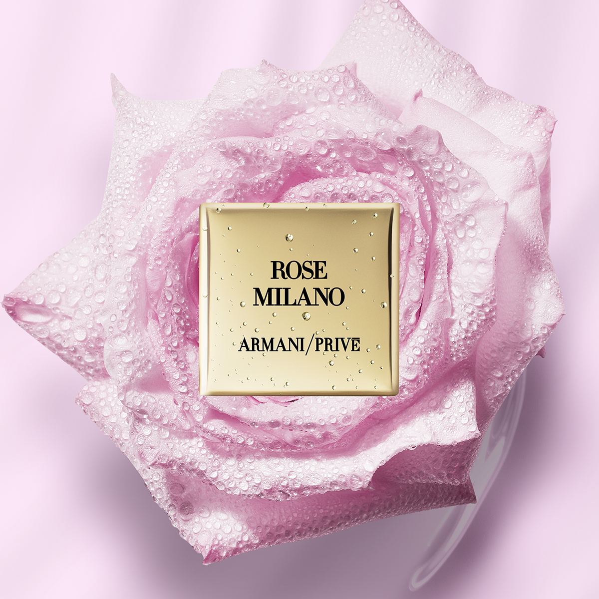 Ladies Rose Milano Eau De Toilette 100ml – Edgars