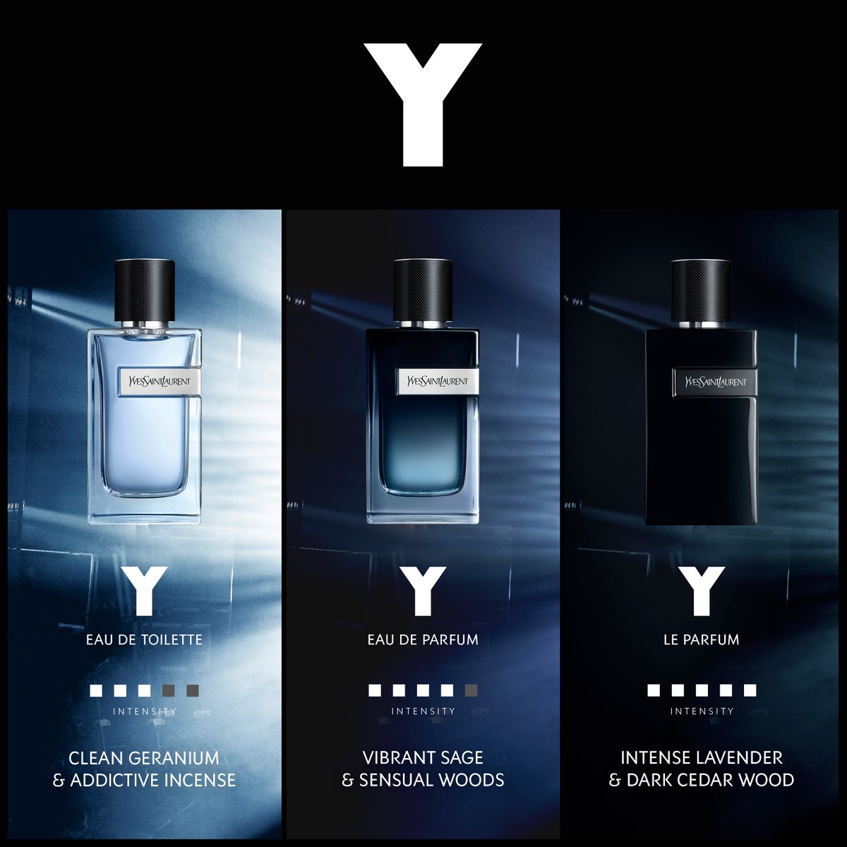 Mens Y Eau De Toilette 100ml – Edgars