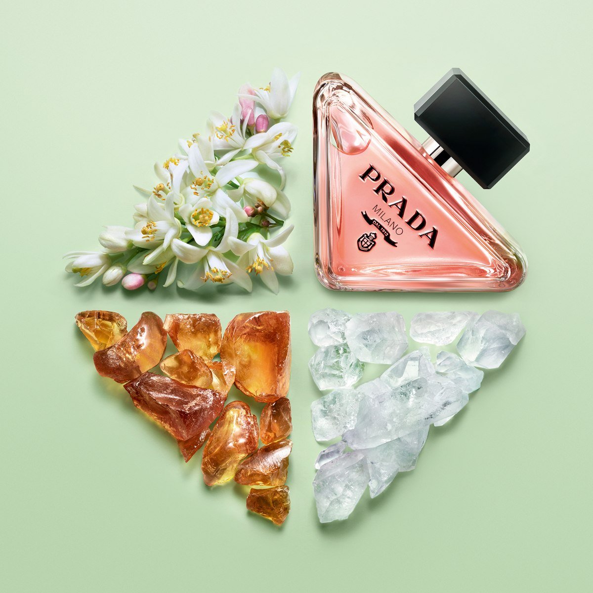 Ladies Prada - Paradoxe Eau de Parfum – Edgars