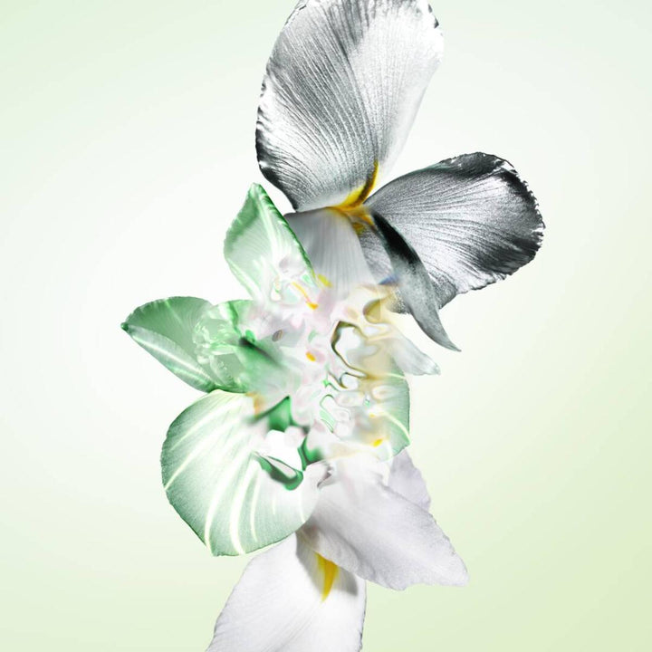 Infusion d'Iris Candle