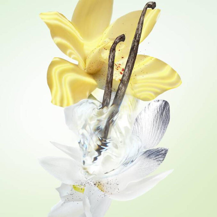 Infusion de Vanille Candle - 165g